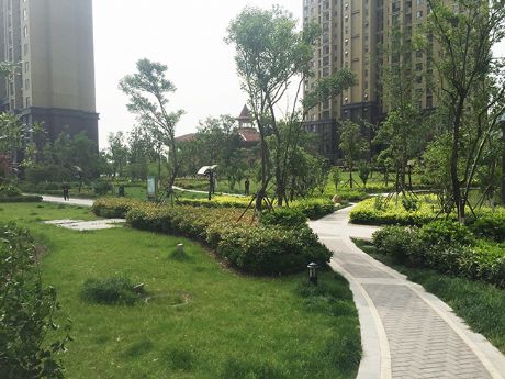 ˴Ȫ԰-- (̬³)ﾰ̻